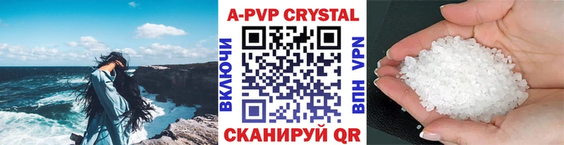 A-PVP СК  Зеленоградск 