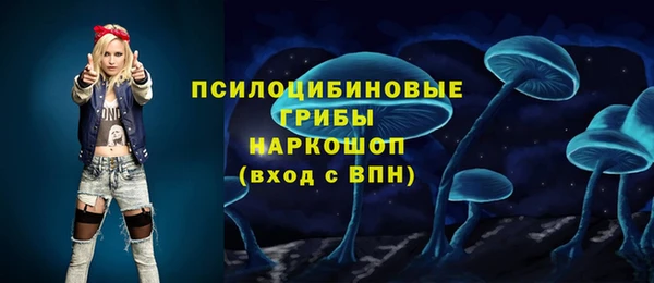 скорость Алзамай