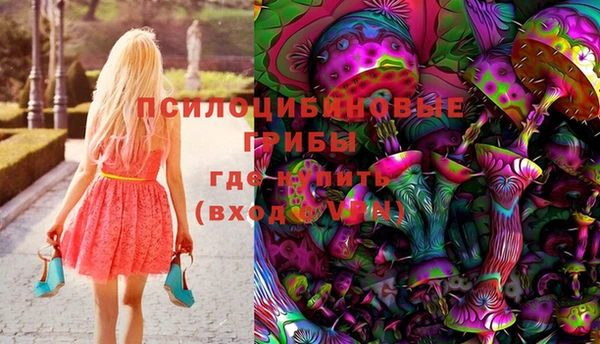 скорость Алзамай