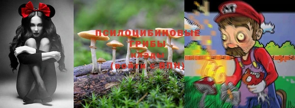 скорость Алзамай